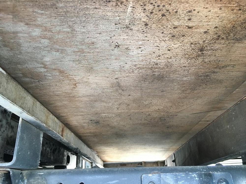 いすゞ　エルフ