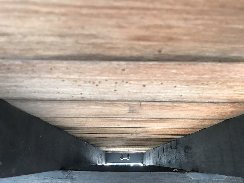 いすゞ　フォワード